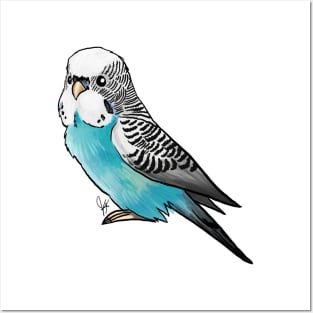 Bird - Budgerigar Parakeet - Blue Posters and Art